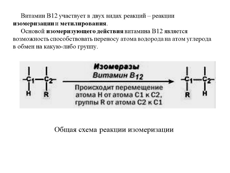 Витамин В12 участвует в двух видах реакций – реакции изомеризации и метилирования. Витамин В12 участвует в двух видах реакций – реакции изомеризации и метилирования.